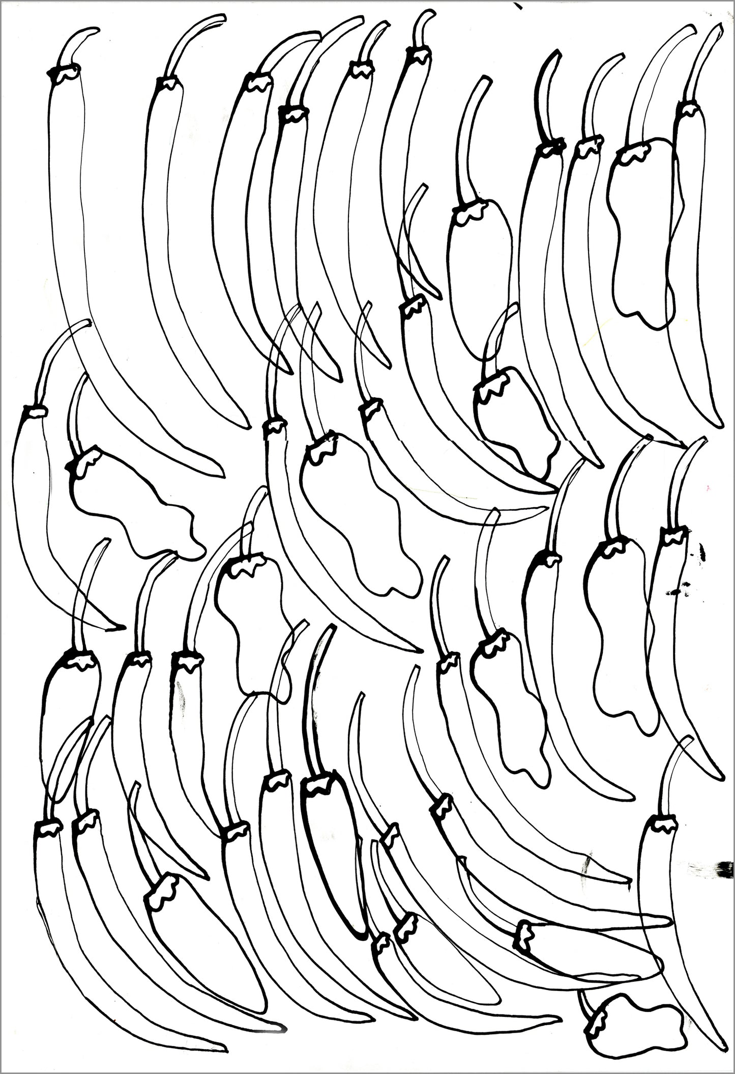 Fruits and Vegetables Collection by Jeremy Burleson