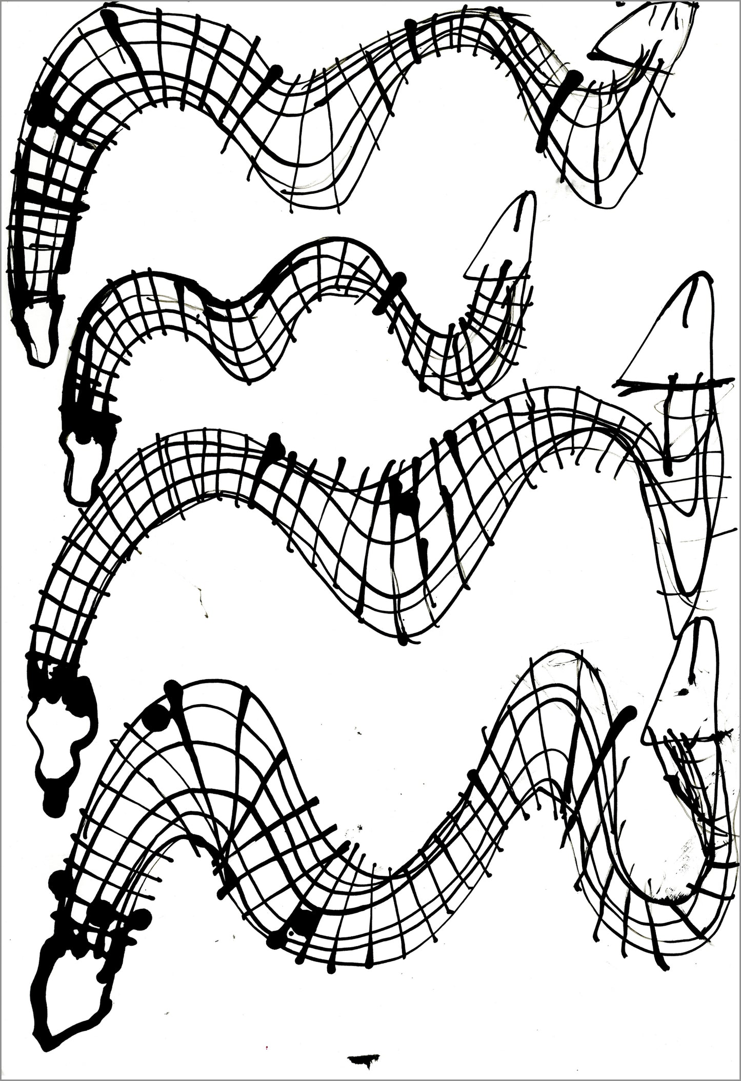 Snakes Collection by Jeremy Burleson