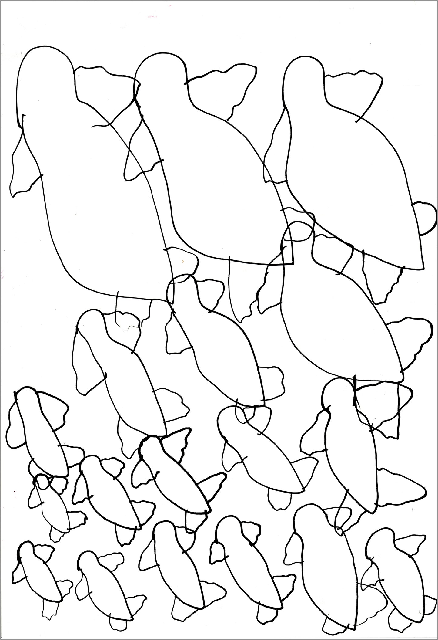 Sin título (D8753)