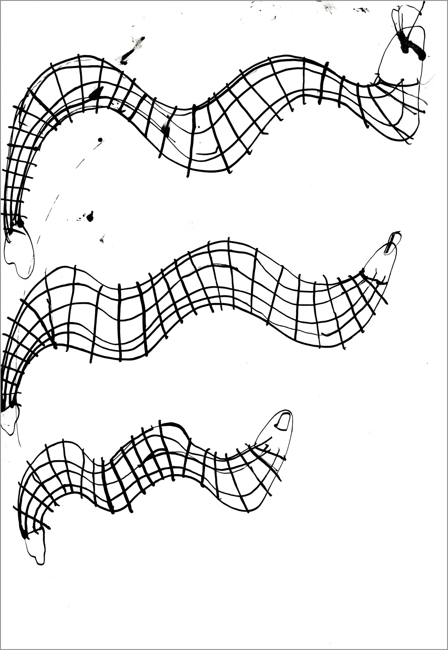 Snakes Collection by Jeremy Burleson