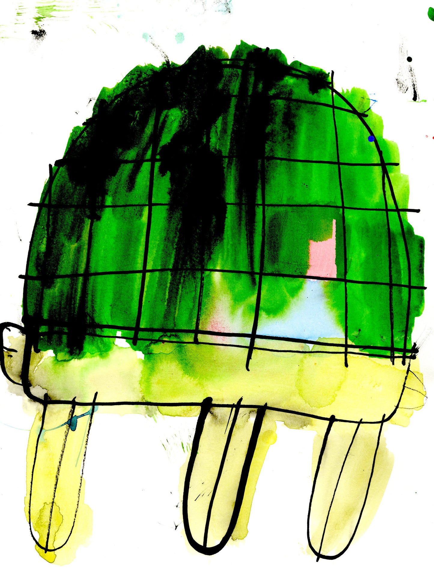 Tortugas (D2083)