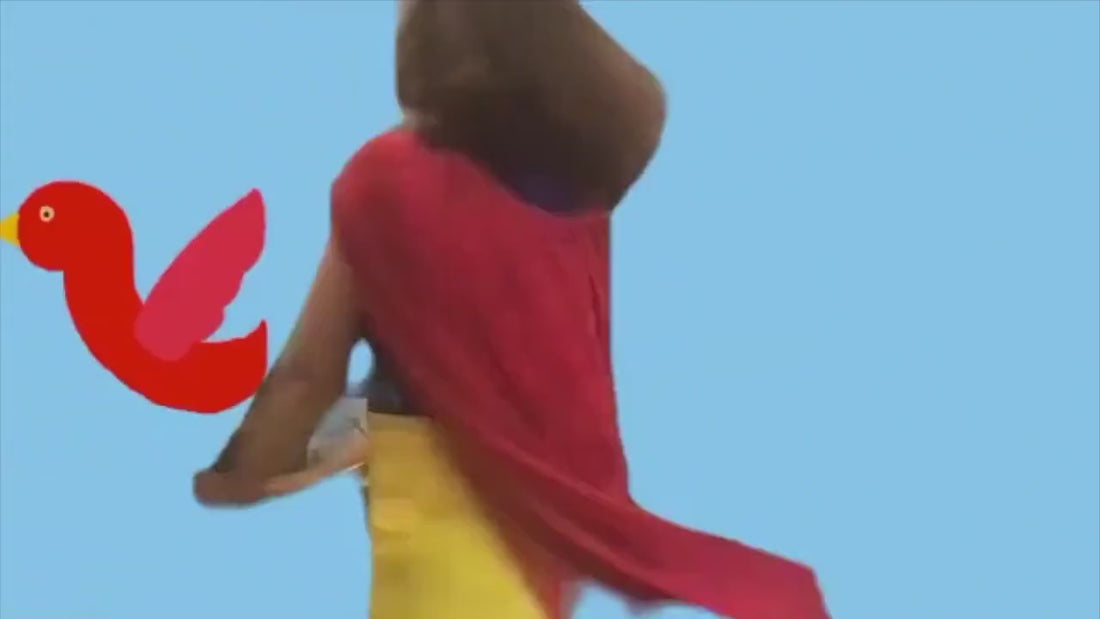 a video featuring a live dance performance superimposed over a digital animation. The performer is artist Heather Hamann, a woman with light skin and long brown hair wearing a princess-style blue and yellow dress with a red cape. She plays the flute and twirls around in the foreground. The background is an animation featuring a flat blue field with colorful birds appearing to flap their wings and fly across the screen. At the end of the clip, all of the birds form a circle behind Heather.