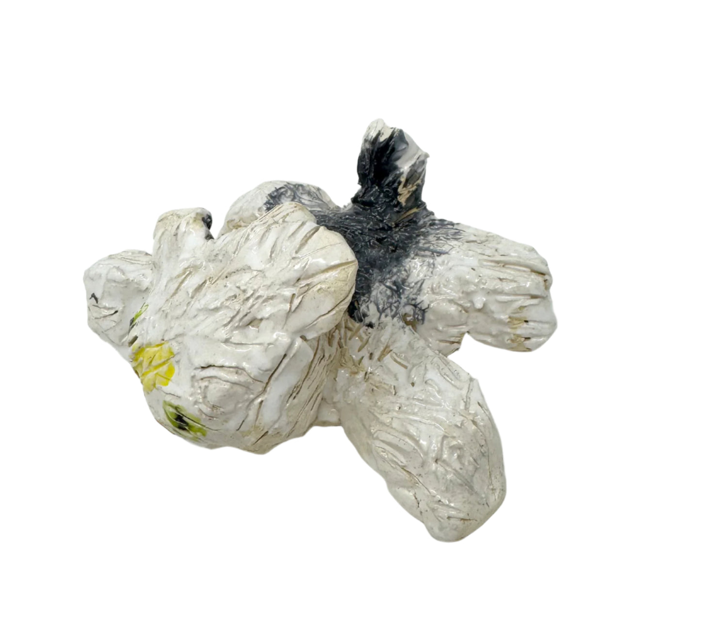 Protest Cats (S1347)