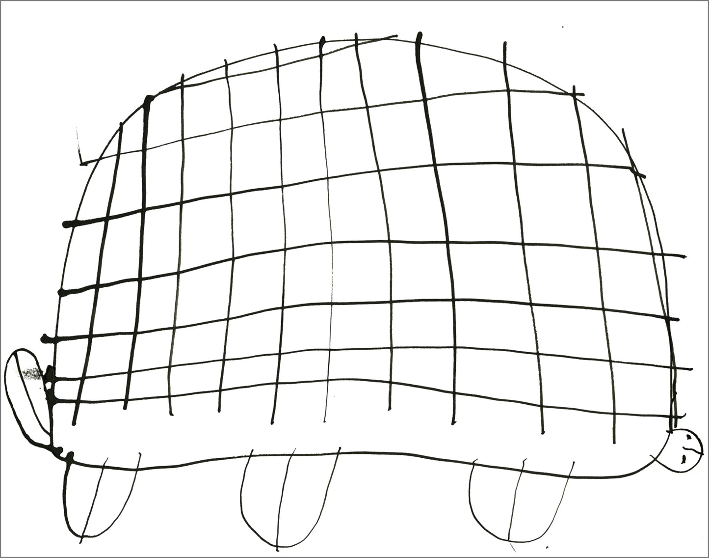Tortugas (D2083)