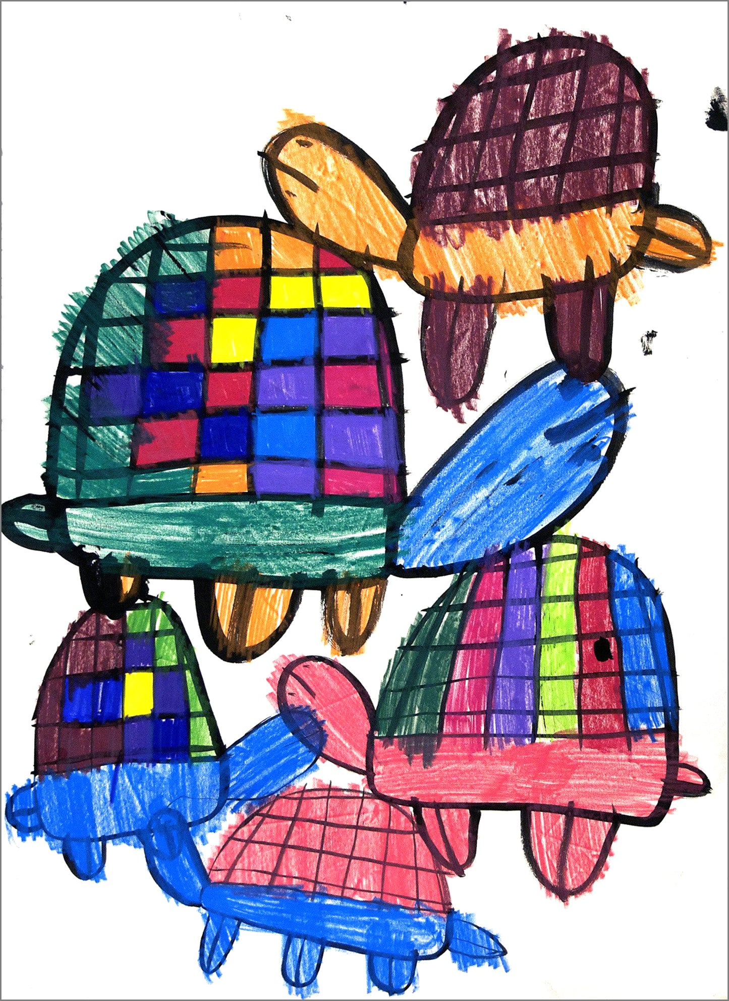Tortugas (D2083)