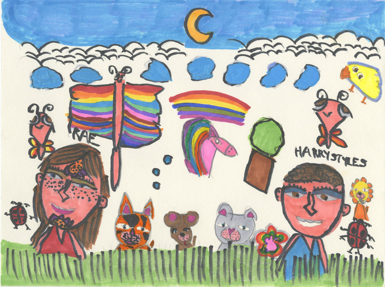 a marker drawing on white paper. The drawing illustrates two figures in a green field with animals and butterflies. The figures are labeled with the artist's name, "Rae" and "Harry Styles." The animals surrounding the figures include a bird, lion, dog, and 2 cats. In the blue sky above the creatures is a row of blue clouds and a half moon.