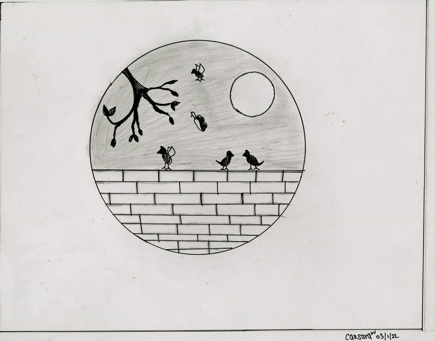 Drawing on white paper. In a circle at center, several birds are perched on a brick wall under the moon, with a tree branch coming into the frame on the left. 