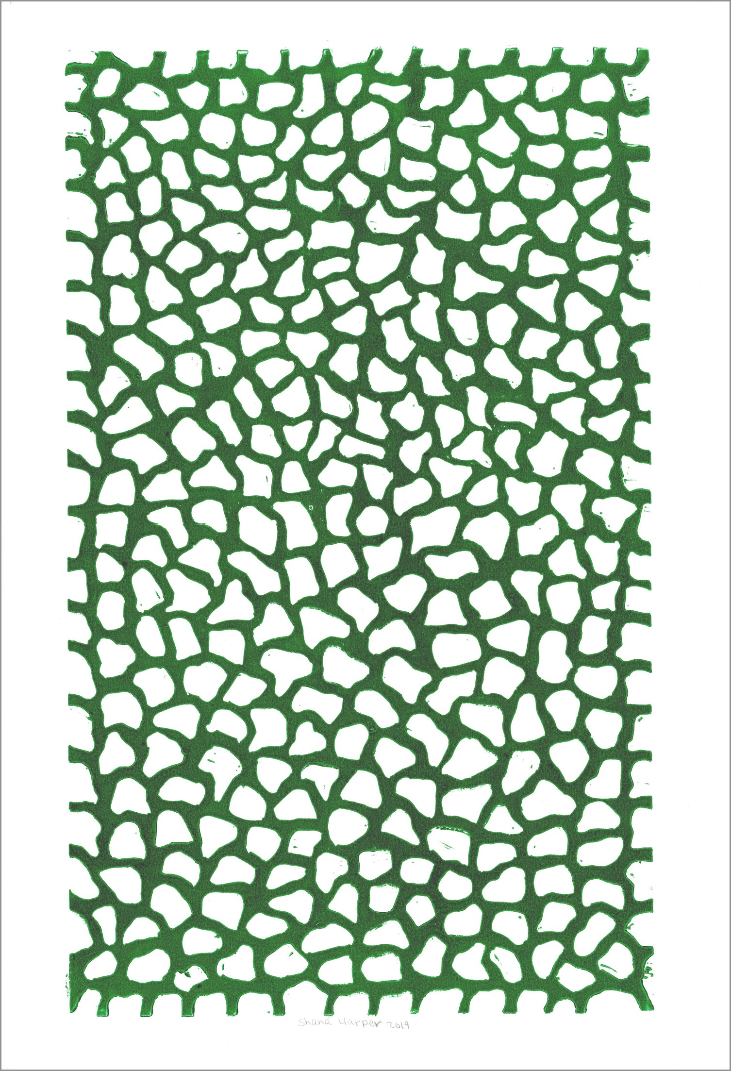 a monotype print made with green ink on a tall rectangular piece of white paper. A web-like pattern of intersecting vines covers the surface of the paper. The space between the vines is the white of the paper. If you interpret the green vines as a background color instead, then the image looks like many oblong, white cobblestones on a green field. The artist has signed and dated the work in pencil on the bottom edge. 